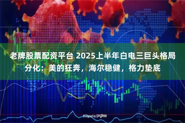 老牌股票配资平台 2025上半年白电三巨头格局分化：美的狂奔，海尔稳健，格力垫底