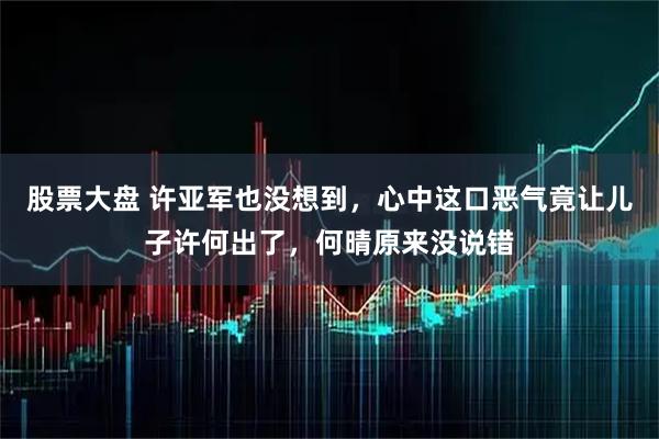 股票大盘 许亚军也没想到，心中这口恶气竟让儿子许何出了，何晴原来没说错