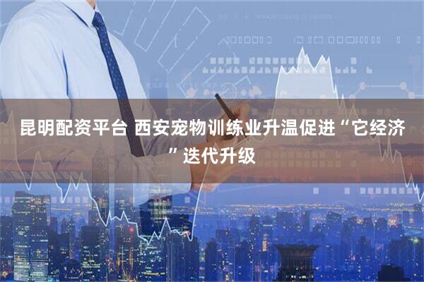昆明配资平台 西安宠物训练业升温促进“它经济”迭代升级