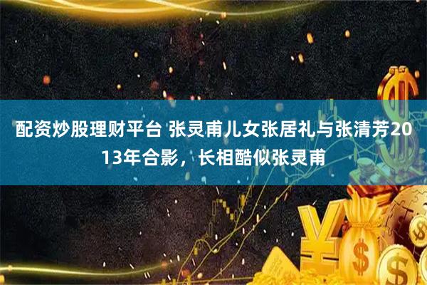 配资炒股理财平台 张灵甫儿女张居礼与张清芳2013年合影，长相酷似张灵甫