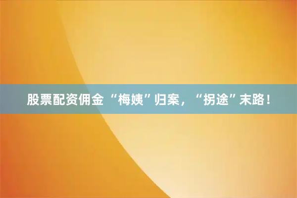 股票配资佣金 “梅姨”归案，“拐途”末路！
